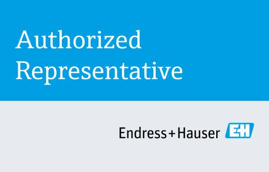 Endress + Hauser